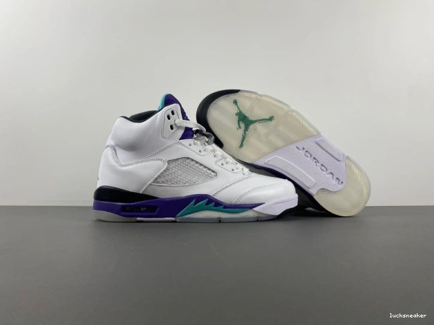 Rep LUCY (2013) Grape 5 Jordan Retro 136027-108 Air 0629